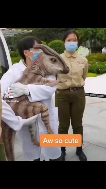 Bitch, is that a dinosaur?