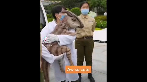 Bitch, is that a dinosaur?