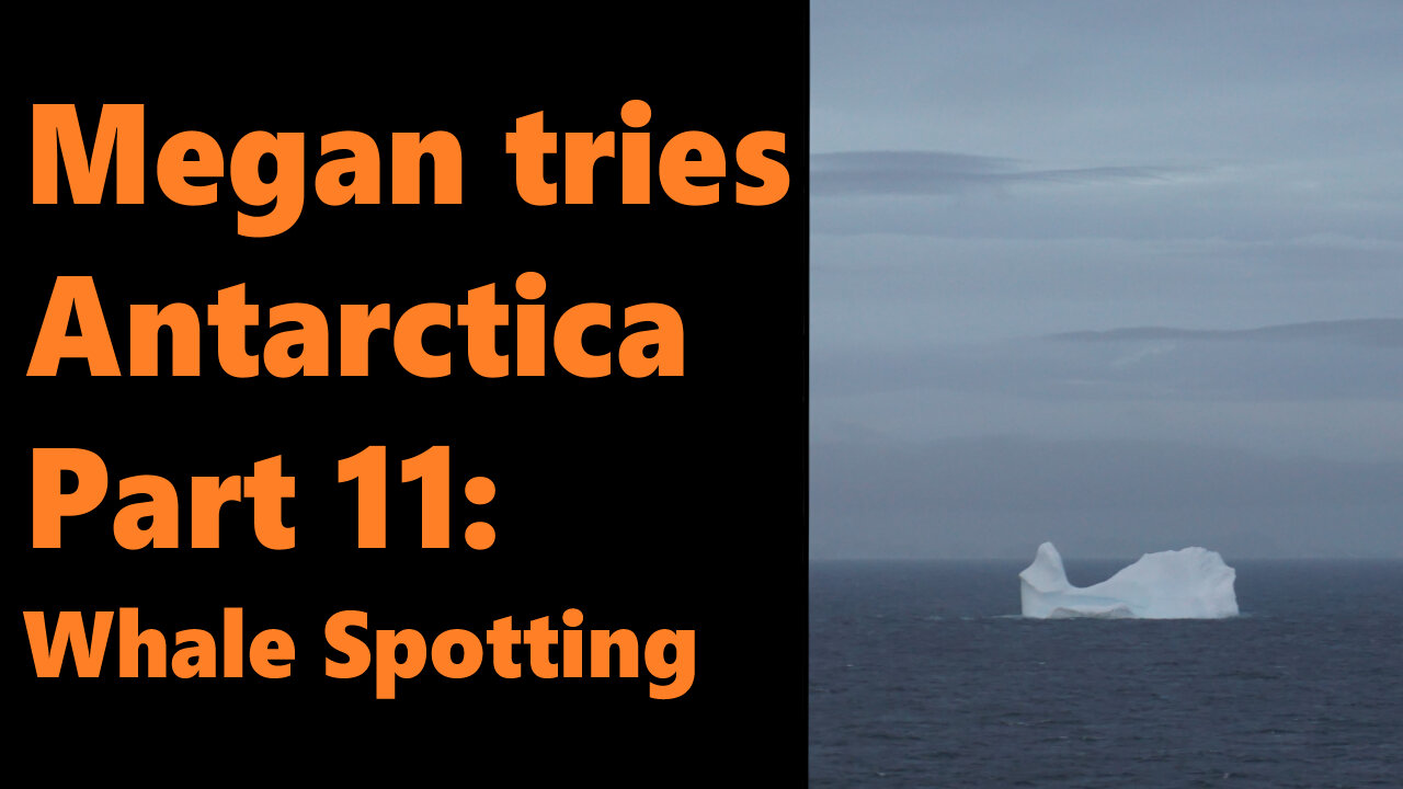 Megan Tries Antarctica, Part 11: Whale Spotting