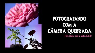 Desafio ISO 100 - Fotografando com minha Câmera Quebrada