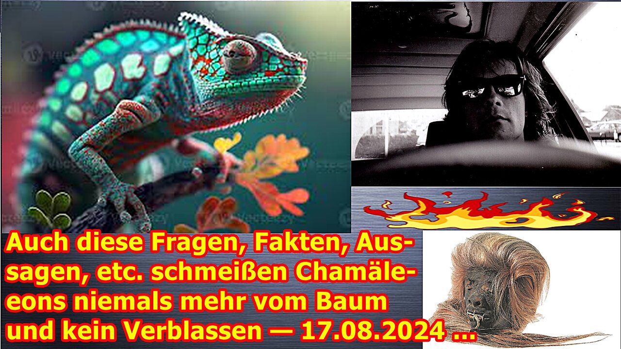 Auch diese Fragen, Fakten, Aussagen, etc. schmeißen Chamäleons niemals mehr vom Baum — 17.08.24 ...