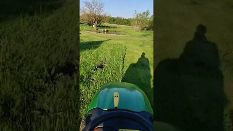 Mowing on the farm