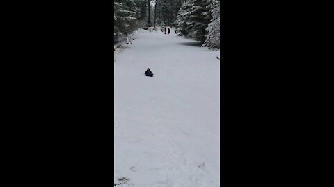 Daredevil on a sled