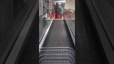 Christmas tree🎄 Escalator fun #viral #trending #christmas #christmastree #fun #viralshorts