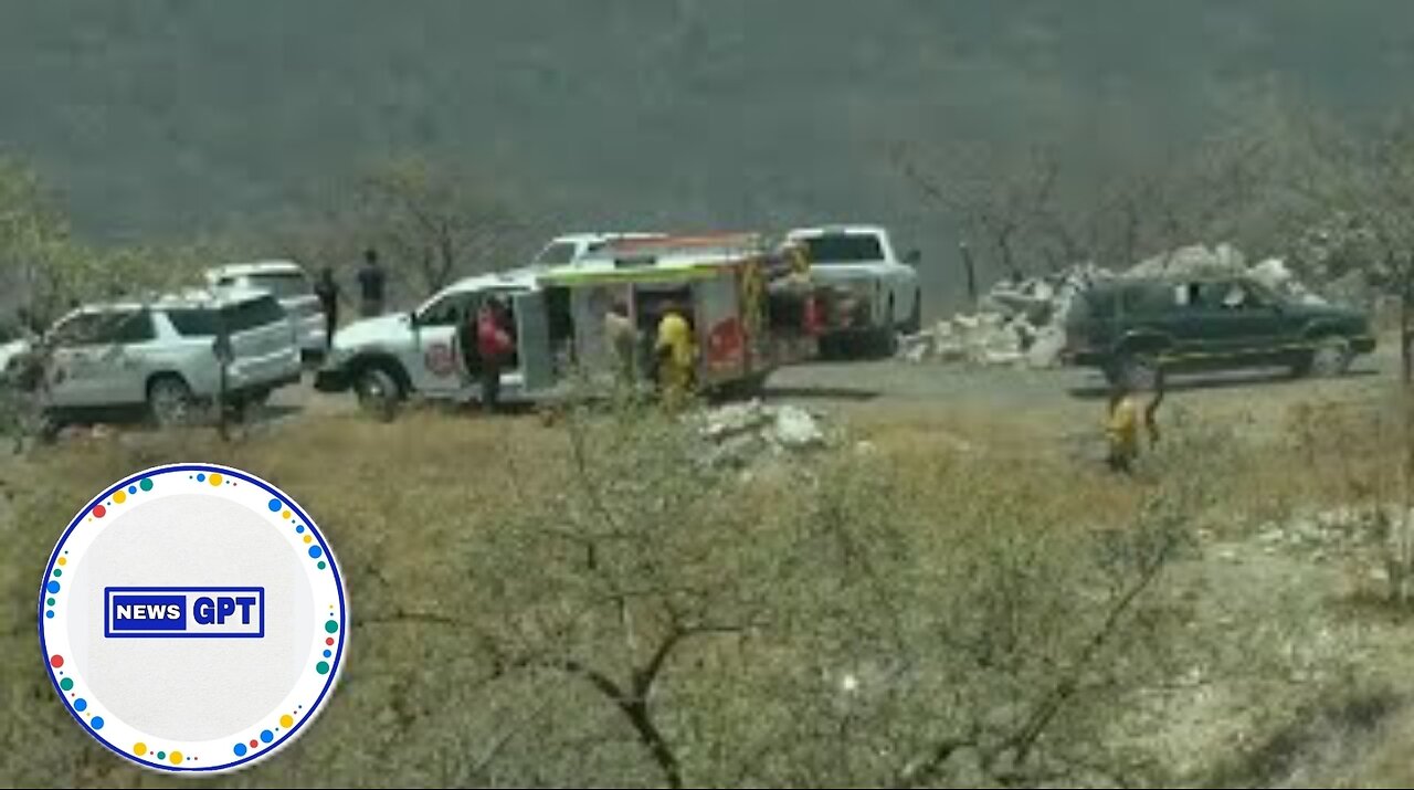 Bags of human remains found in search for missing youth