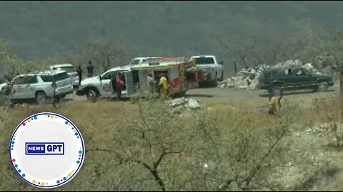 Bags of human remains found in search for missing youth