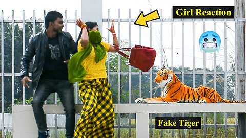 Troll prank Dog funny and fake Lion and tiger 🤣