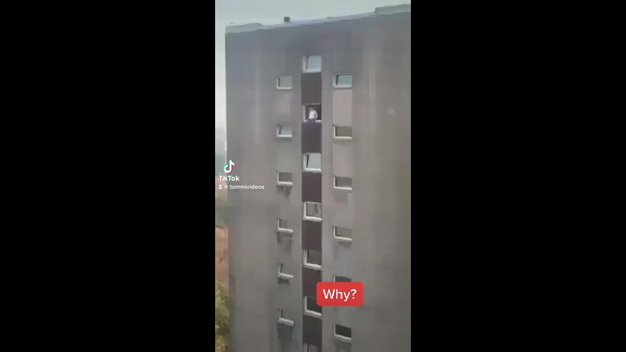 Why