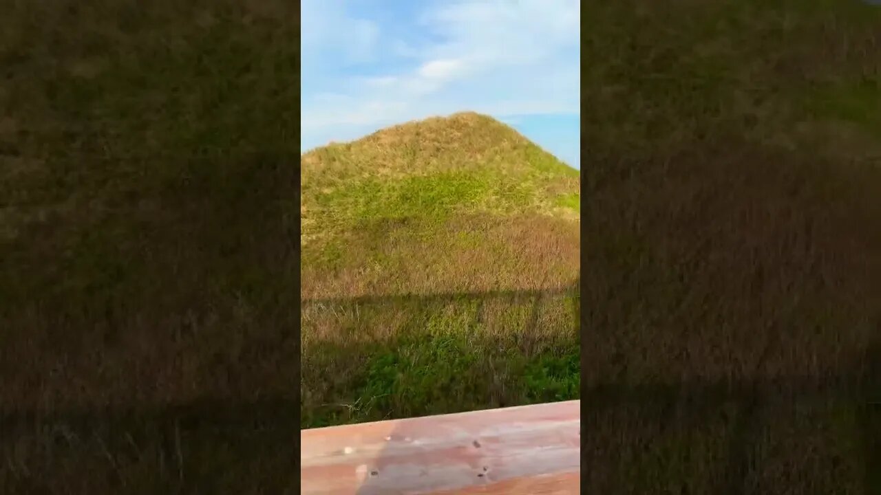 Large sand dune at the beach