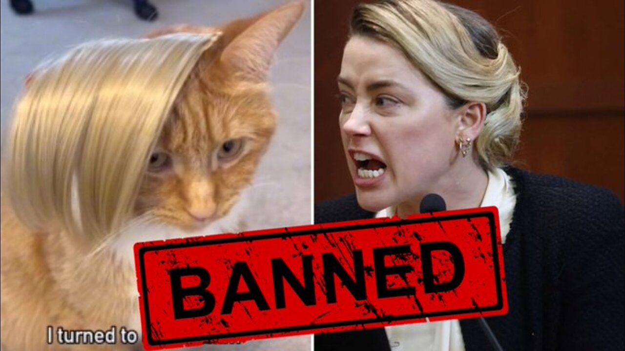 BANNED! Heard cat memes are getting REMOVED from TikTok because they support Johnny Depp?!