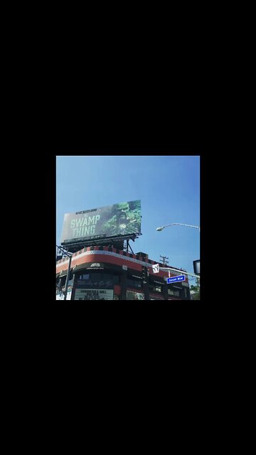 JOE BIDEN IS DC SWAMP THING