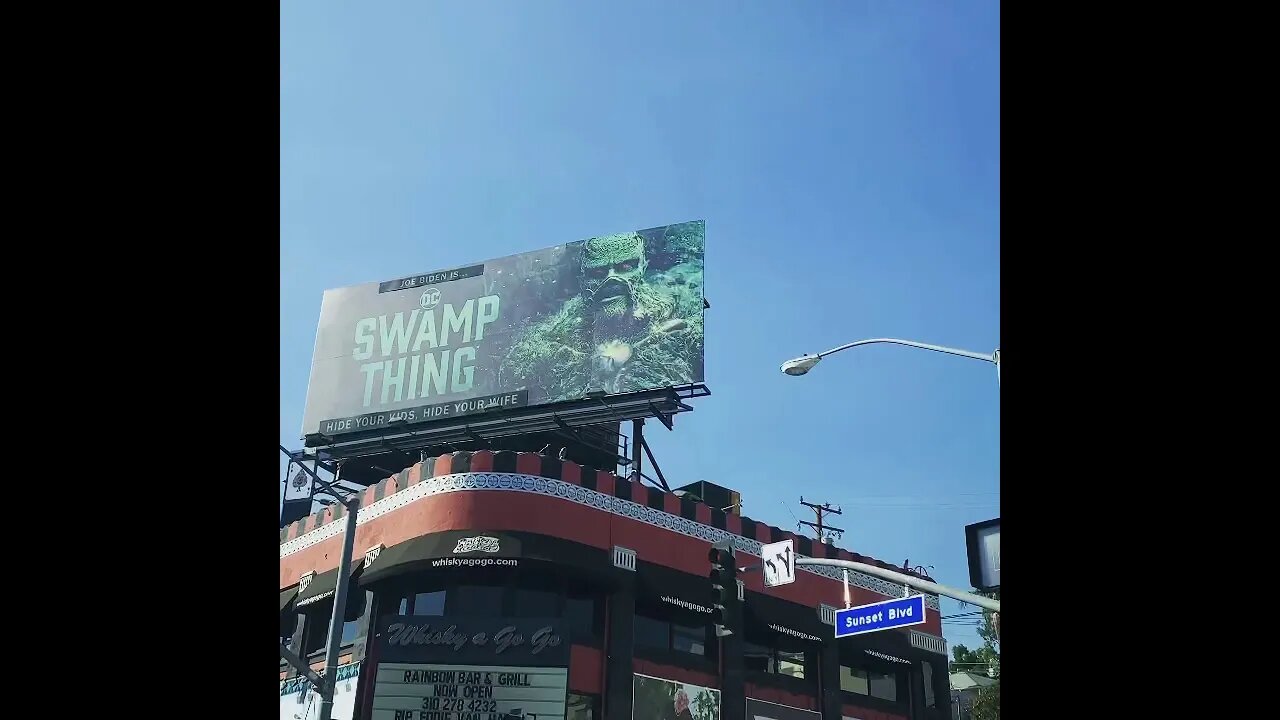 JOE BIDEN IS DC SWAMP THING