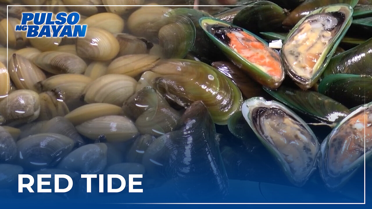 Shellfish at alamang mula sa 6 na lugar sa bansa, hindi ligtas kainin ayon sa DOH