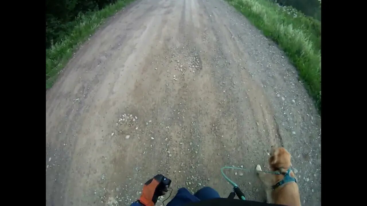 July 9th, 68º, wicked humid again. Flynn and I go to Prentiss but he doesn't deliver.