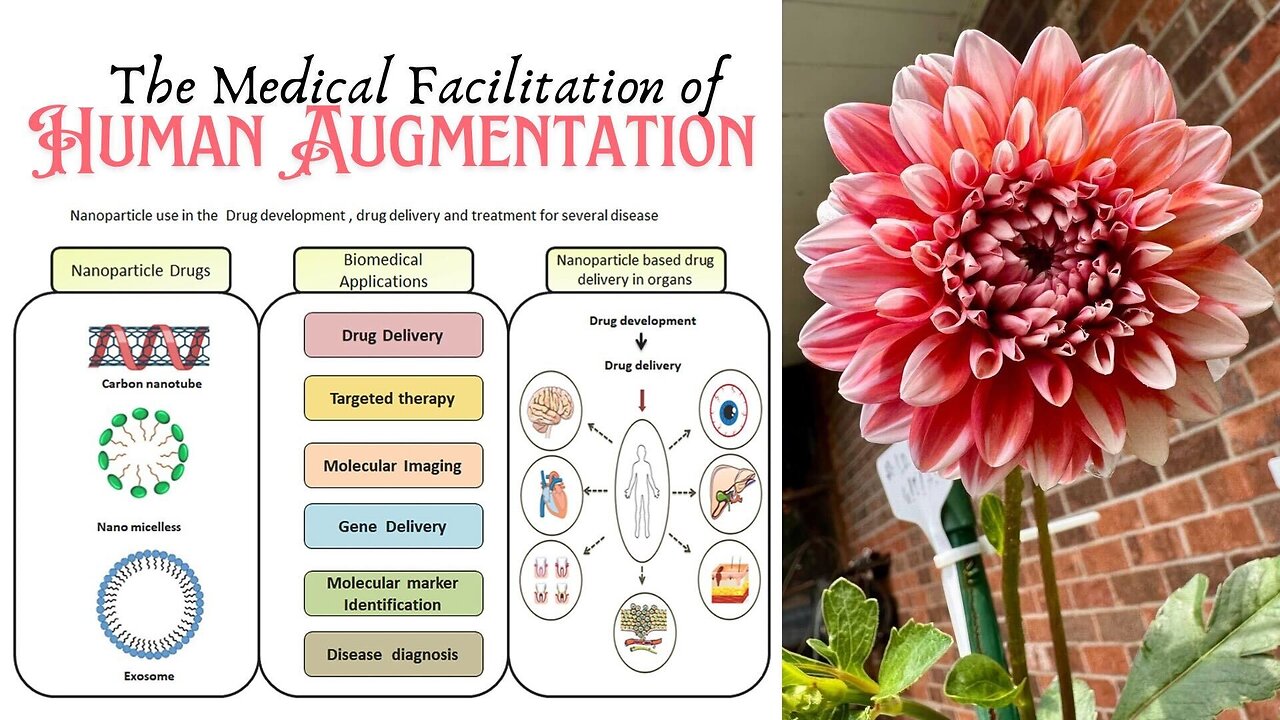 Medical Facilitation of Human Augmentation 4/4