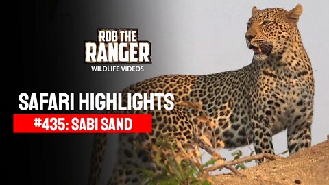 Safari Highlights #435: 27 - 30 September 2016 | Sabi Sand Wildtuin | Latest Wildlife Sightings