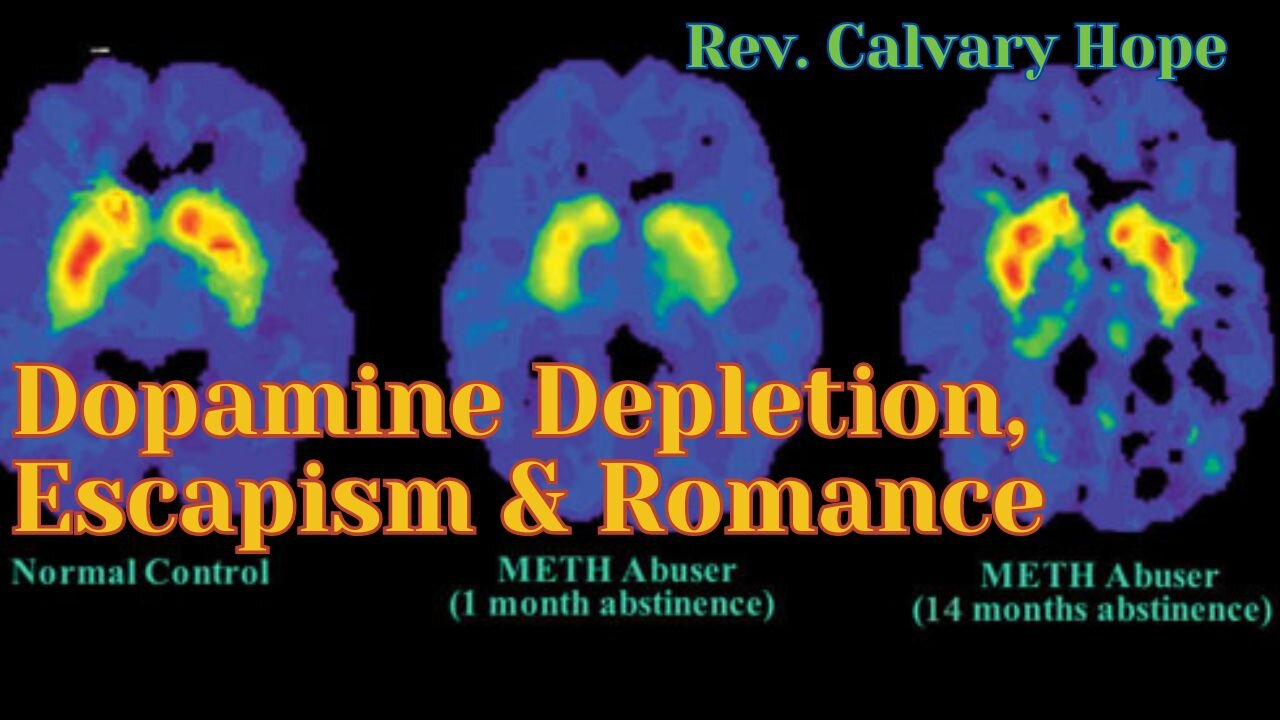 Twin Flame 🔥Soulmate 💗Chronic Overstimulation 😵How To Get Satisfaction 💚🔥🦚✝ Calvary Catalyst