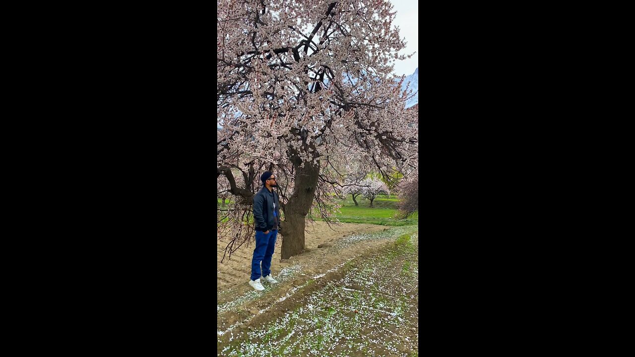 Blossom in Skardu Valley Pakistan 🇵🇰😍