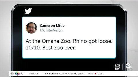 Rhino gets loose at the Omaha Zoo; everyone, including rhino, is fine