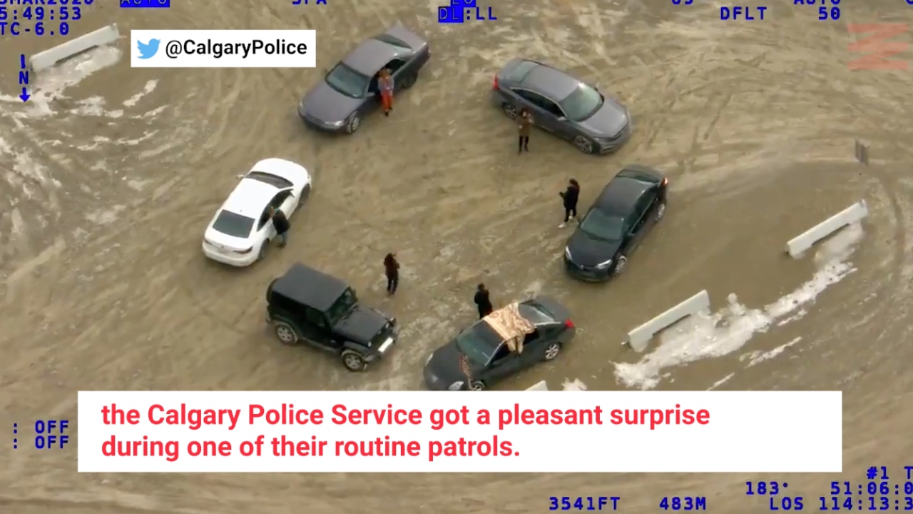 Calgary Police Helicopter Caught 6 Ladies Having A Socially-Distanced Dance Party (VIDEO)