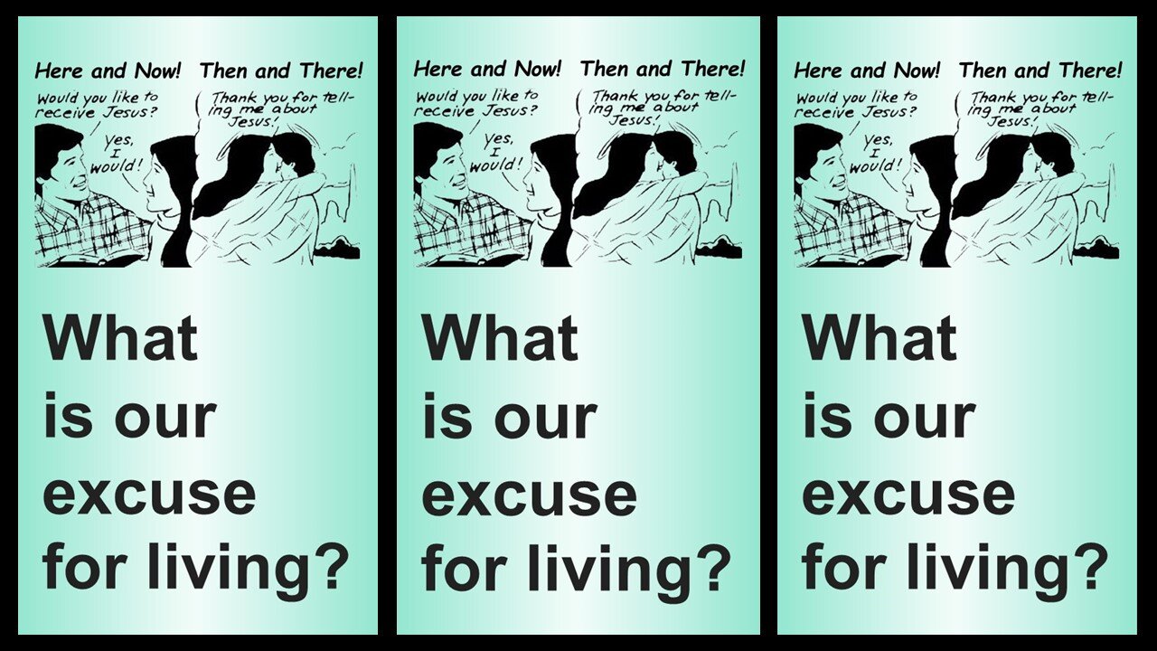 WHAT'S OUR EXCUSE FOR LIVING!