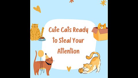 Cute Cats Ready to Steal Your Attention