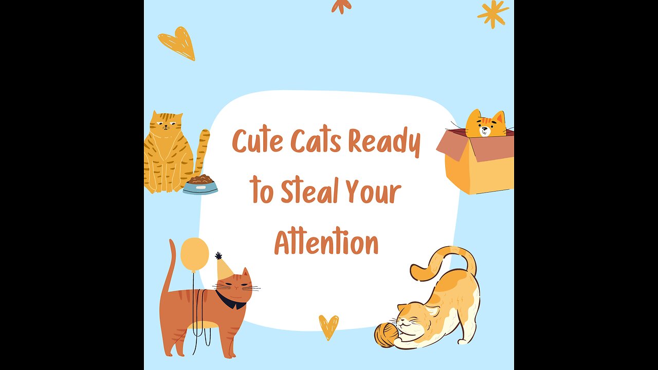 Cute Cats Ready to Steal Your Attention