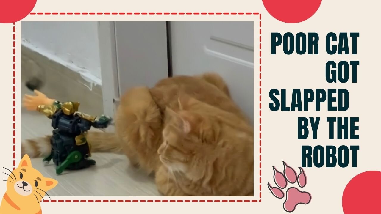 The poor cat got slapped by the robot 🤣