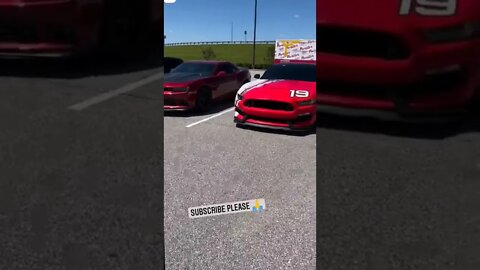 musselcar lineup 🔥❤️ #onepercent_clubb #mustang #dodge