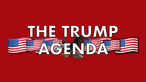 🇺🇸TRUMP PROMISES, ARE THEY DOABLE❓🇺🇸
