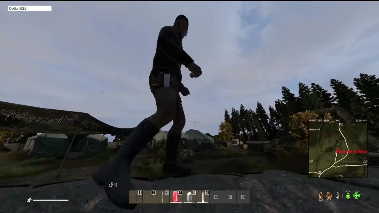 DayZ Revived