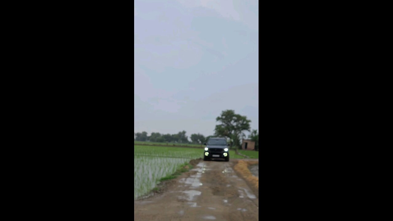 car lover