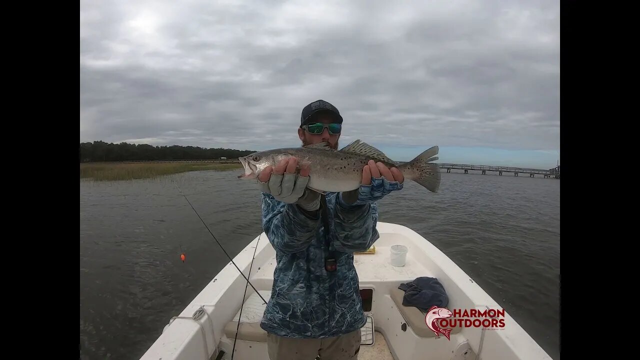 BEAUFORT TROUT NOVEMBER