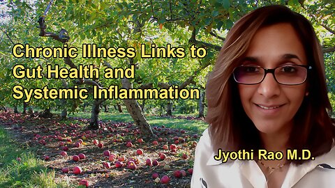 Explanation of the Connection Between Inflammation, Gut Health, and Chronic Illnesses