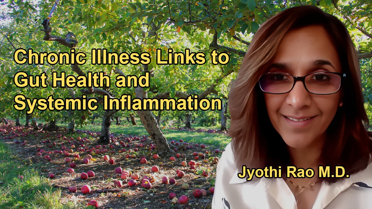 Explanation of the Connection Between Inflammation, Gut Health, and Chronic Illnesses