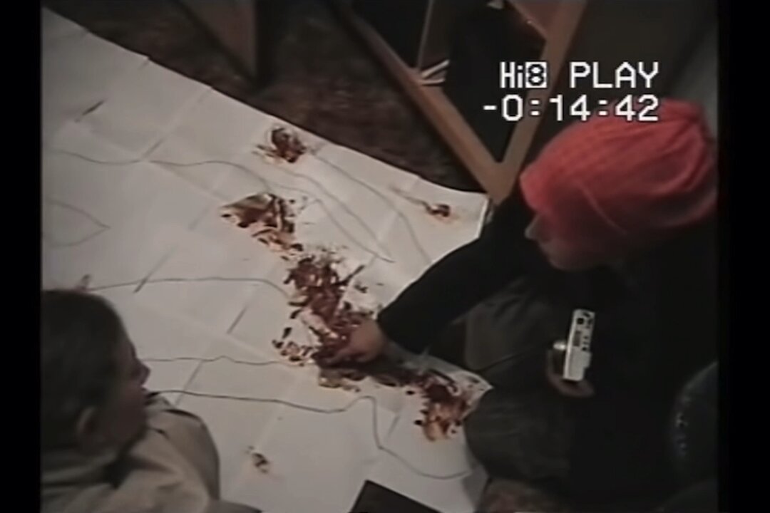 Phoenix & Aria Speak Out ~ The Testament — An Investigative Report into British Childhood