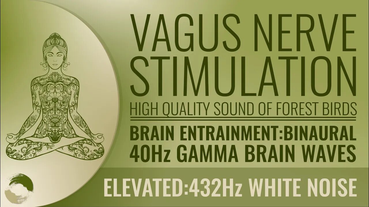 Vagus Nerve Stimulation Binaural 40Hz Anxiety Hunger Depression Weight Gain Heartburn