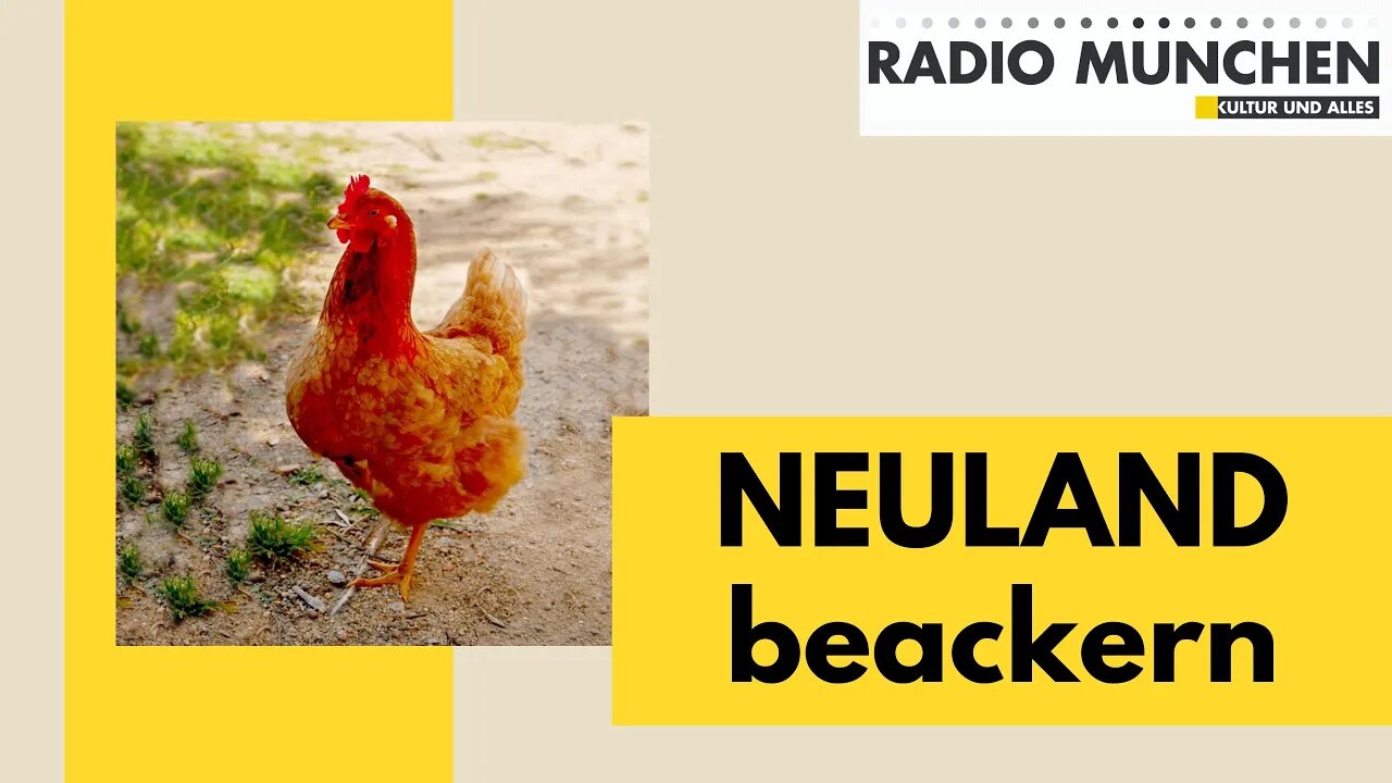 NEULAND beackern - von Isa Mitza