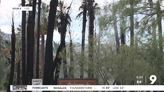 Lightning strike causes fire at Agua Caliente Park