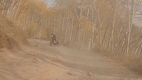 Imogene Pass - Awesome Save!