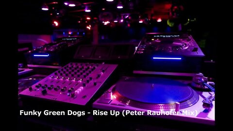 Funky Green Dogs - Rise Up (Peter Rauhofer Mix)