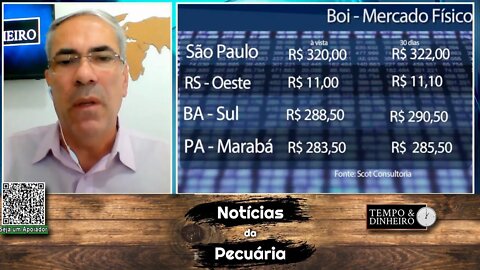 Boi gordo tem início de safra com mercado tenso e forte queda de preços