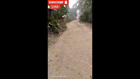 mini blog