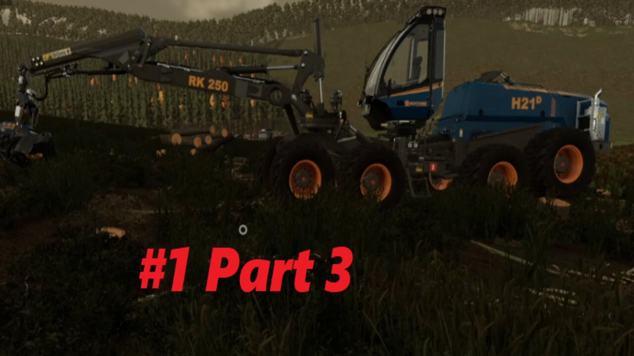 Rottne H21 Cutting spruce trees Holmåkra Sweden Fs 22 #1 Part 3