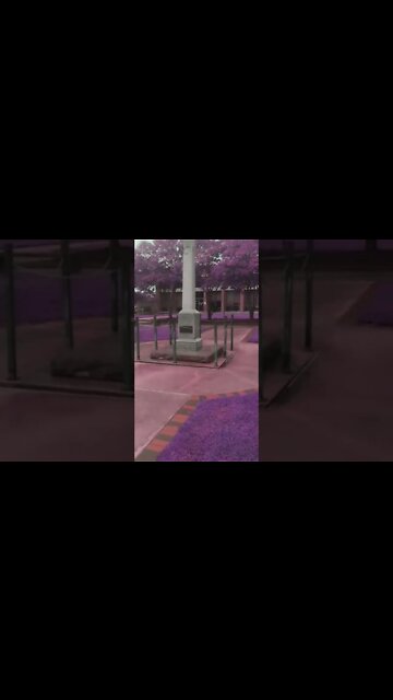 CHECK OUT THIS NEW CHANNEL, Follow & ring 🔔 TexasHistorian 🔗 in description