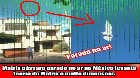 Matrix pássaro parado no ar no México levanta teoria da Matrix e multe dimensões