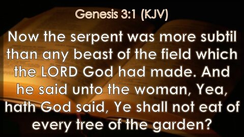 Wednesday Evening, August 10th