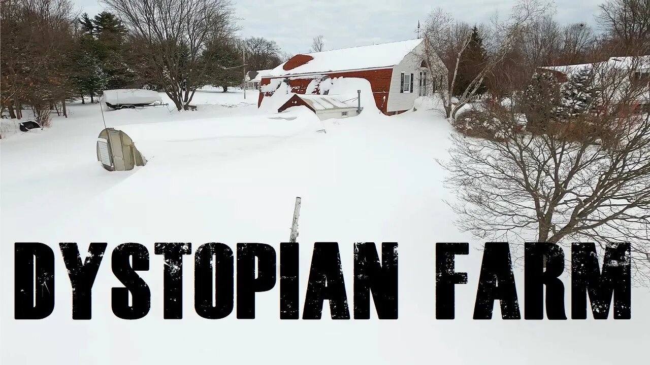 Dystopian Farm: Windy, Snow CineWhoop