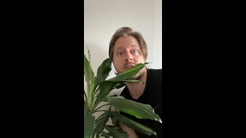 Help me - I’m a filmmaker