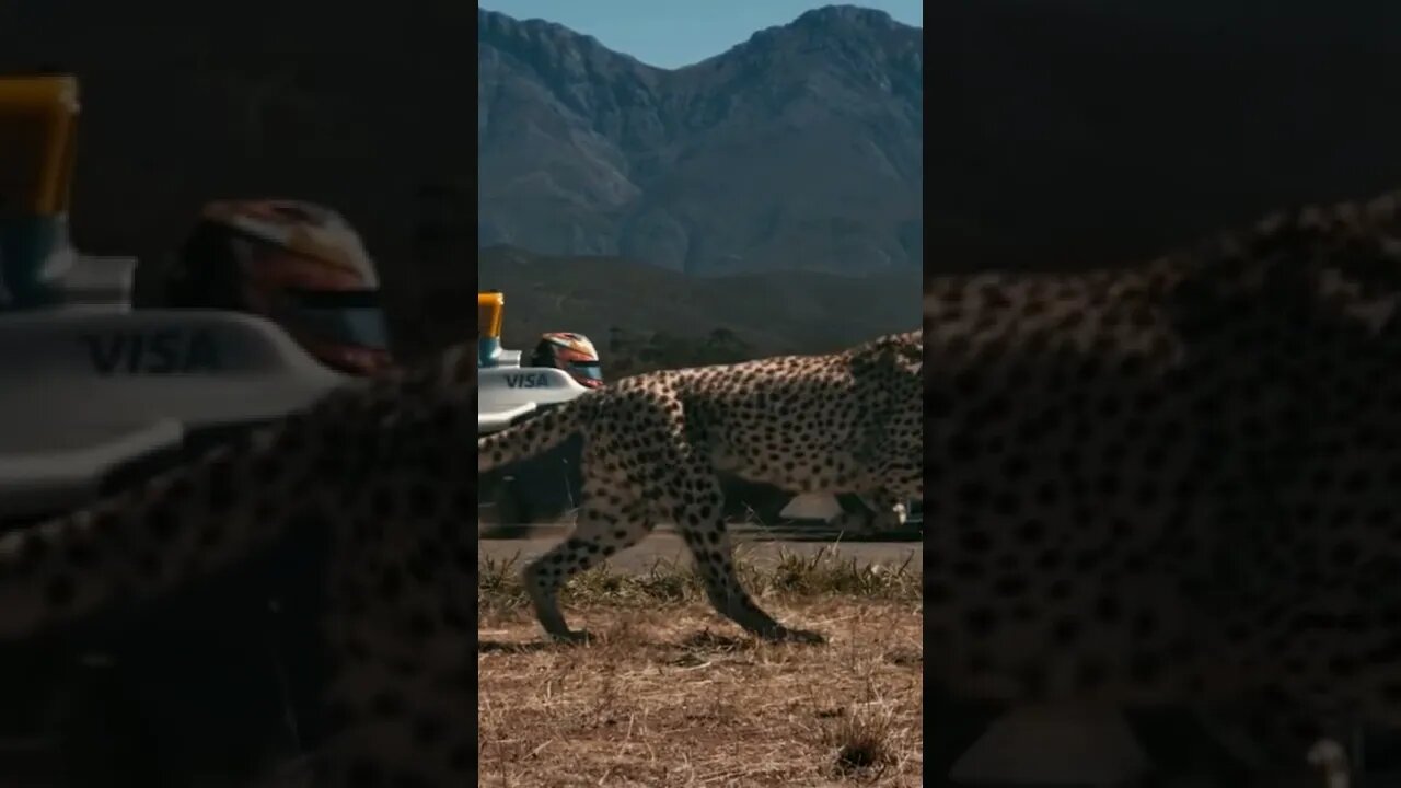 Formula E Car vs Cheetah#shorts